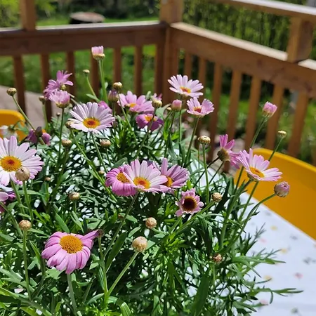 Solvillan Отель типа 