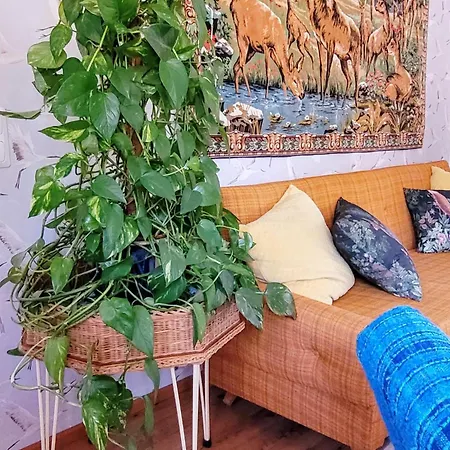 Solvillan Bed & Breakfast Korpo