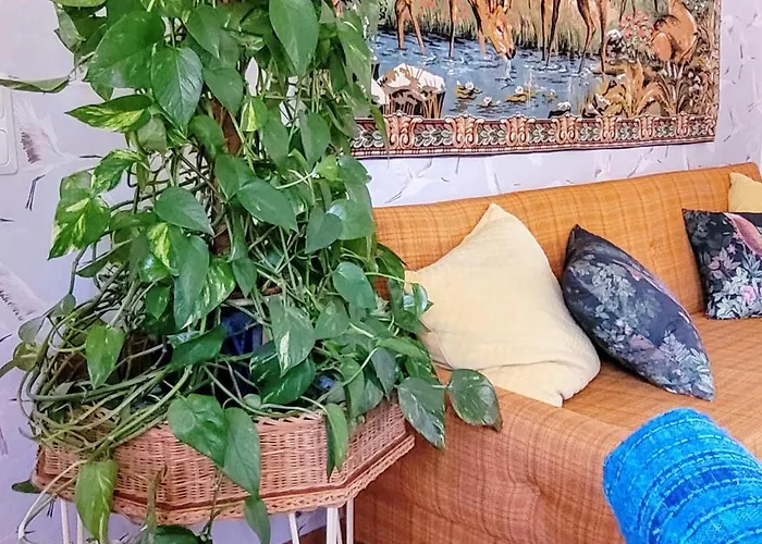 Solvillan Oda ve Kahvaltı Korpo